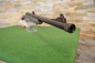 Savage Arms Model 11/111 Hog Hunter